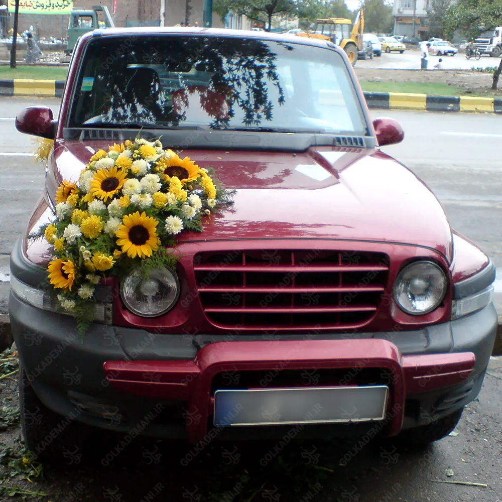 GM004 (1)